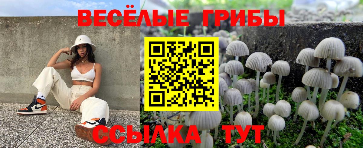 Галлюциногенные грибы GOLDEN TEACHER Таганрог