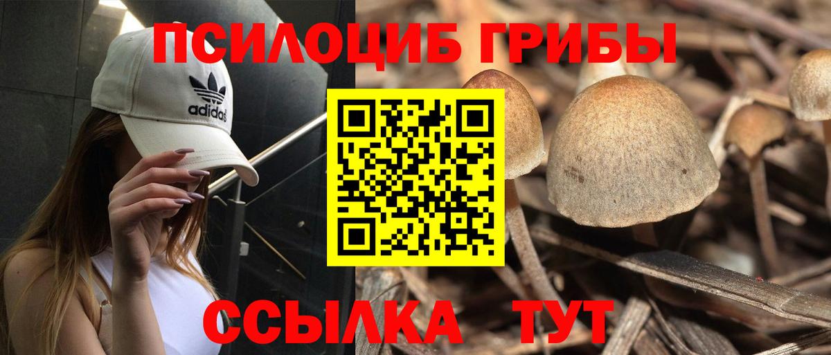 Таганрог  Псилоцибиновые грибы мицелий  Вход с VPN 